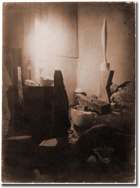 pasare in zbor in atelier